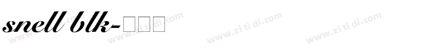 snell blk字体转换